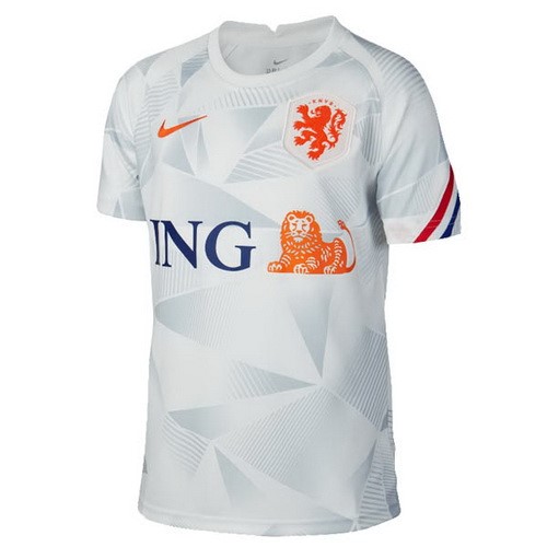 Thailand Trikot Niederlande Pre Match 2020 Grau Günstige Fußballtrikots